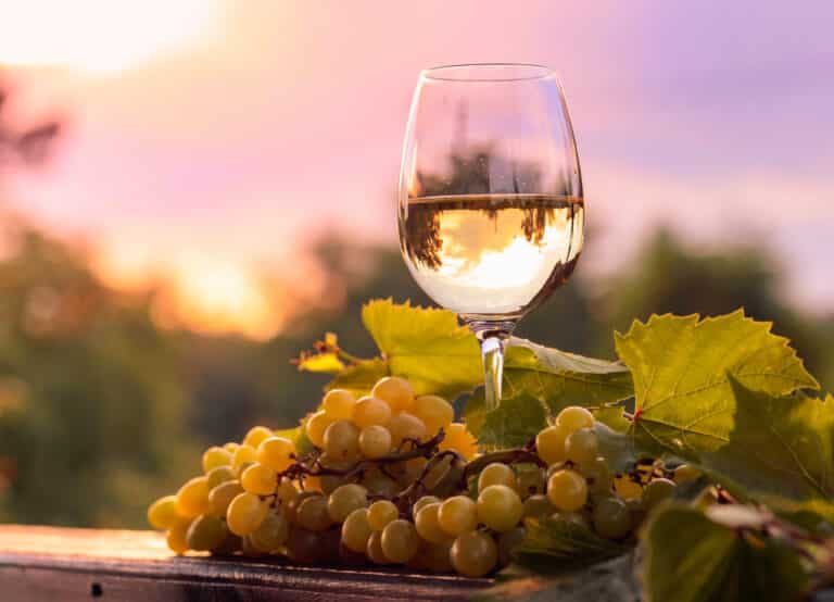 Vinho branco